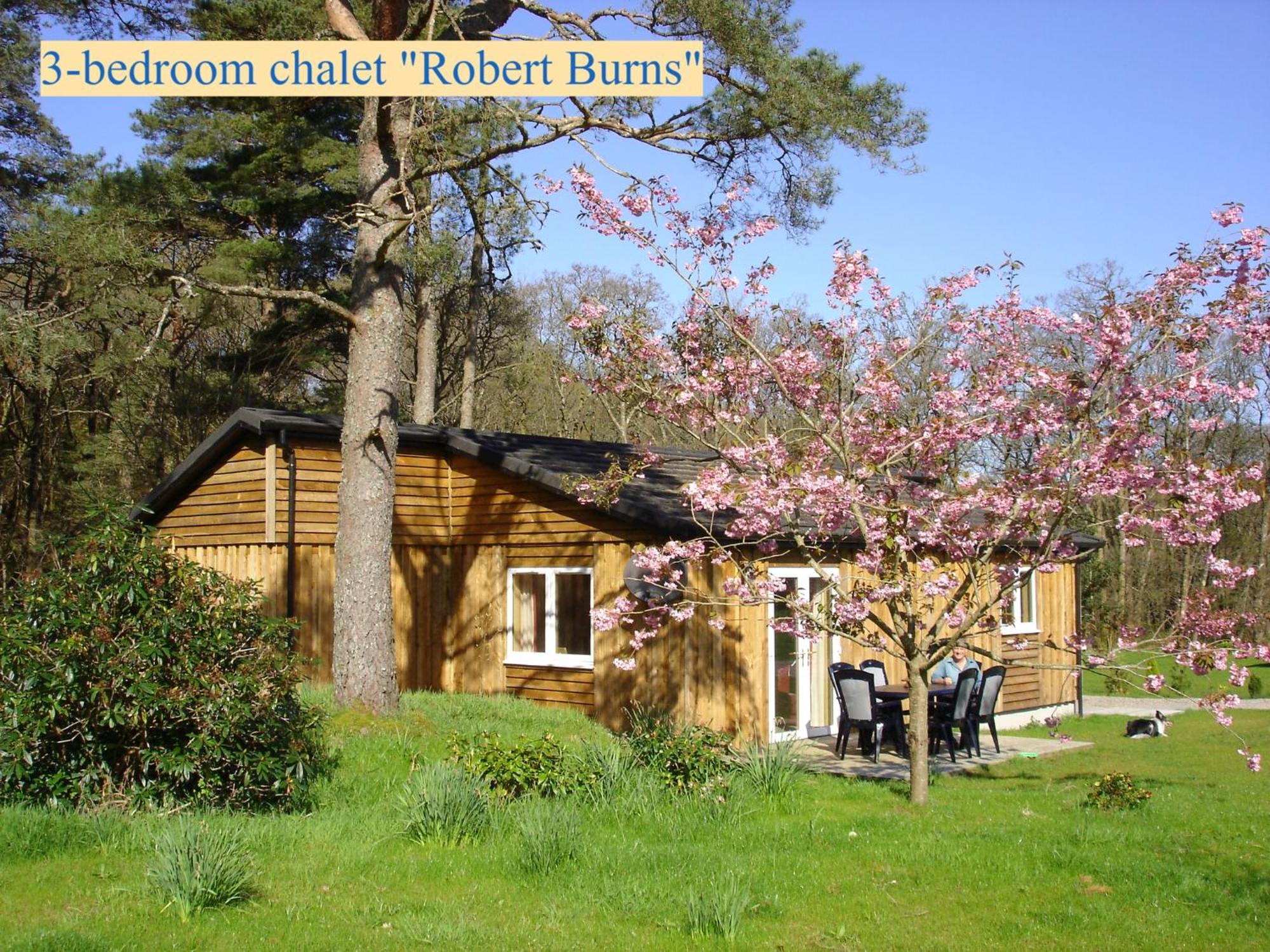 Airdeny Chalets Taynuilt Kamer foto
